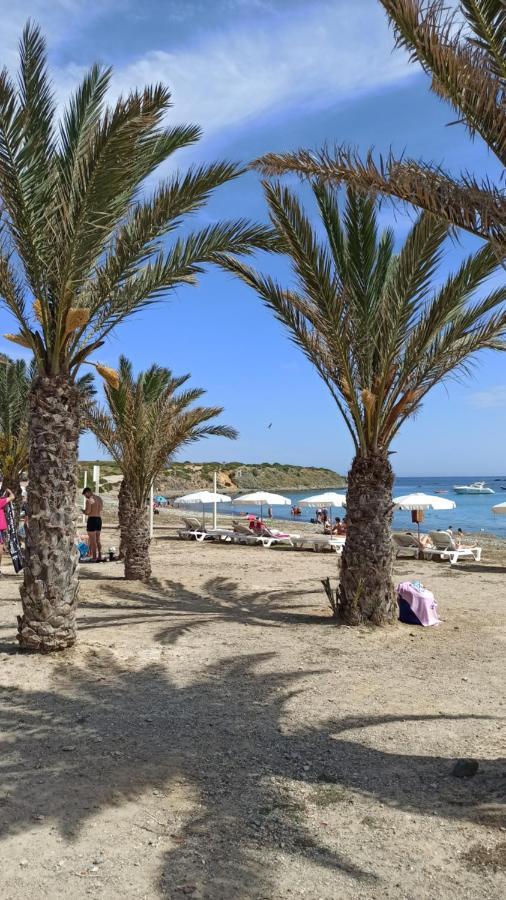 Apartment Only 250M From The Beach Los Locos Торевьиа Экстерьер фото